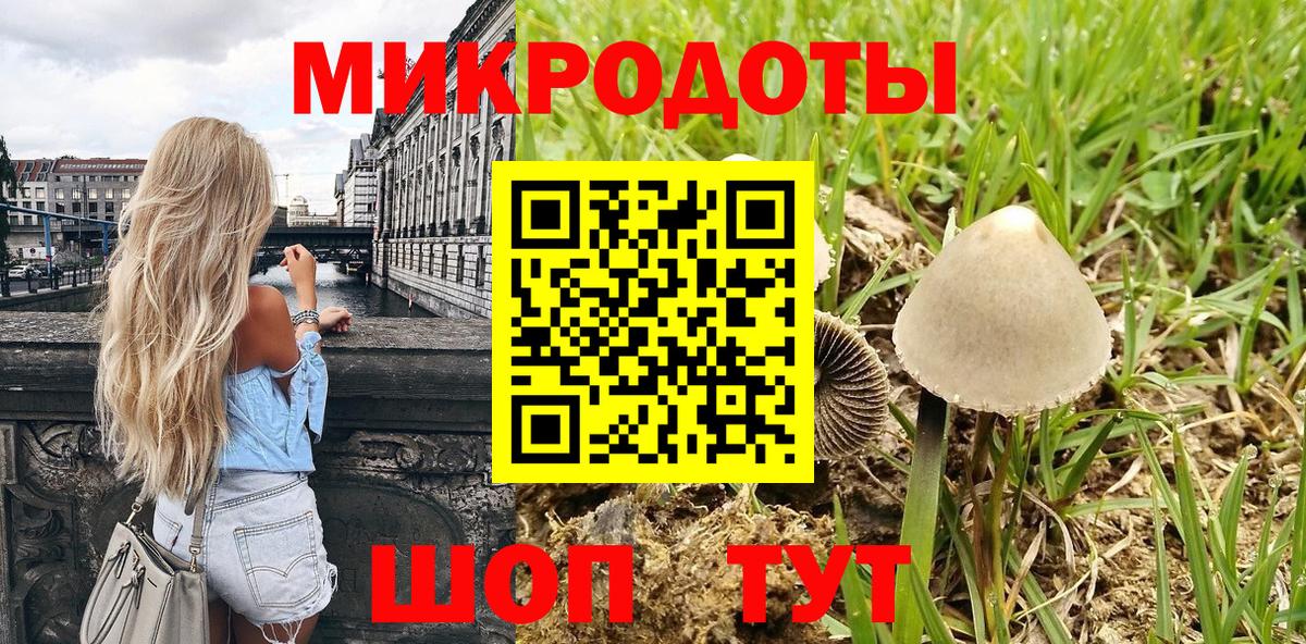 Галлюциногенные грибы Cubensis  Вход с VPN  Балтийск 
