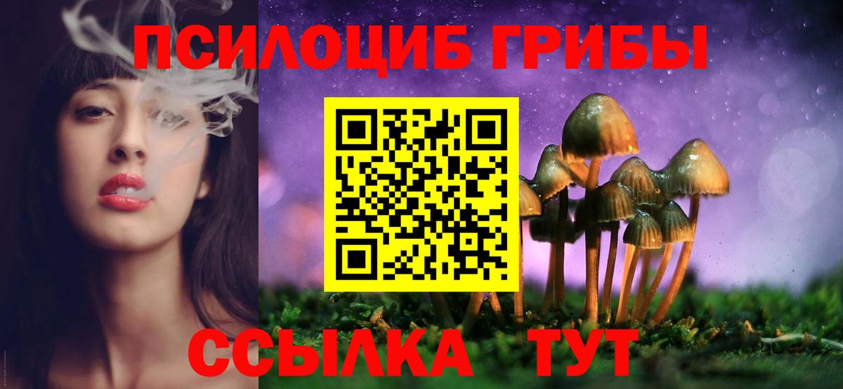 Галлюциногенные грибы GOLDEN TEACHER Балтийск
