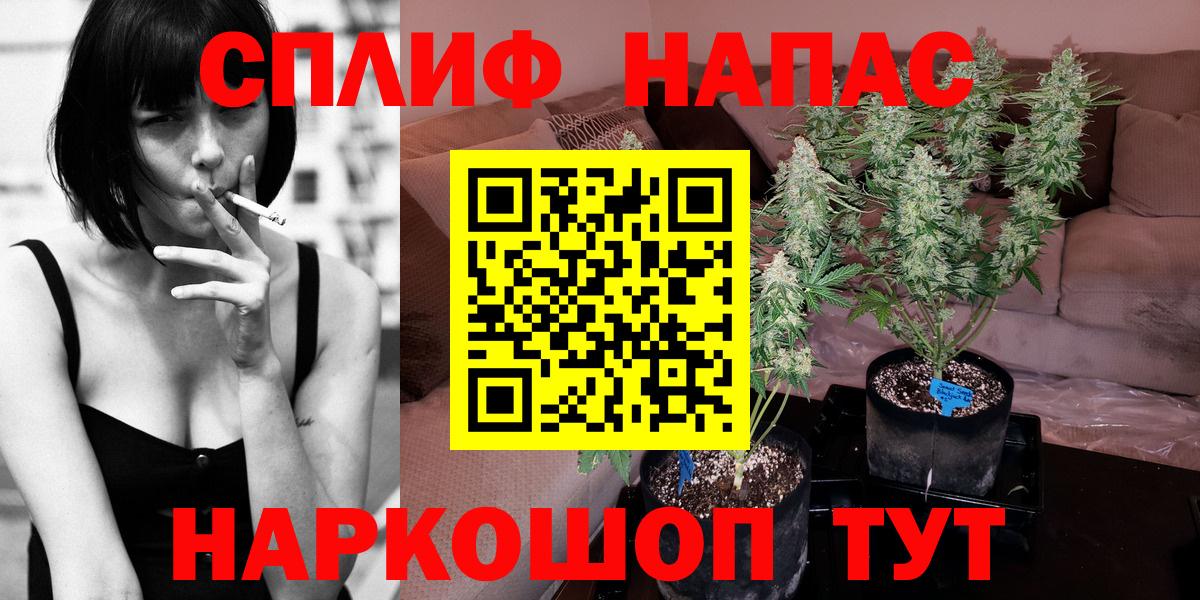 Конопля Bruce Banner  Конопля марихуана  Вход с VPN  Каннабис конопля  Балтийск 